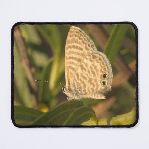 Item preview, 530 Marine Blue Butterfly designed and sold by ptosis.