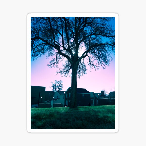 Tree Shadow in a Purple Sky Sticker