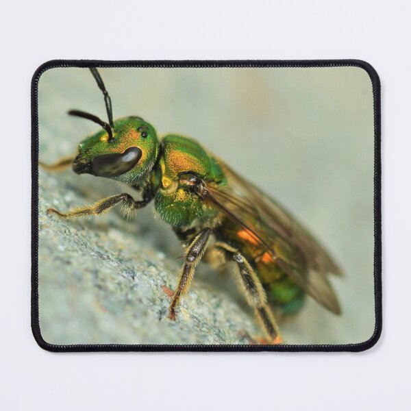 Item preview, All That Glitters is Bees  designed and sold by WWbugsandslugs.