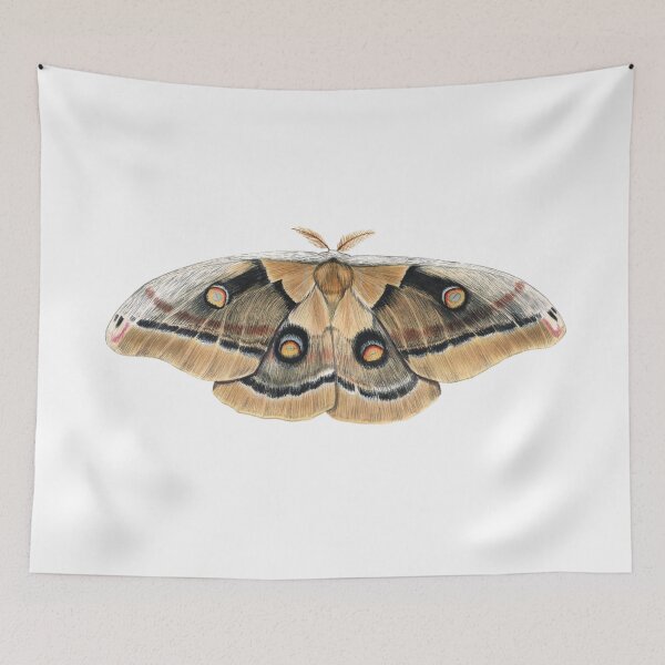 Item preview, Oculea Silkmoth (Antheraea oculea) designed and sold by JadaFitch.