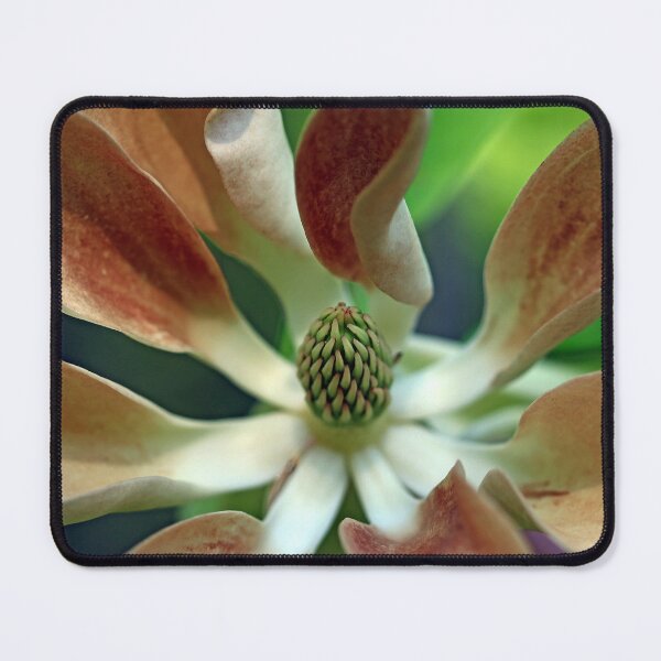 Item preview, Aging Gracefully designed and sold by Debbie Oppermann.