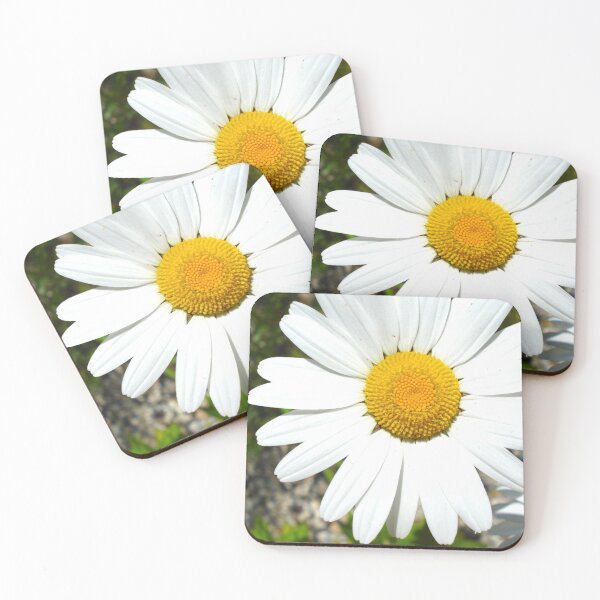 Item preview, Daisies designed and sold by Louise-Mae.