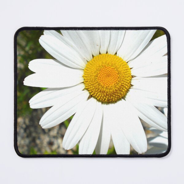Item preview, Daisies designed and sold by Louise-Mae.