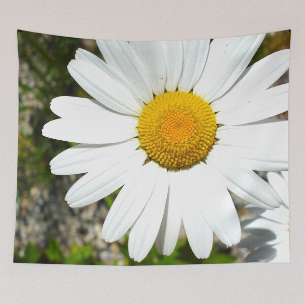 Item preview, Daisies designed and sold by Louise-Mae.