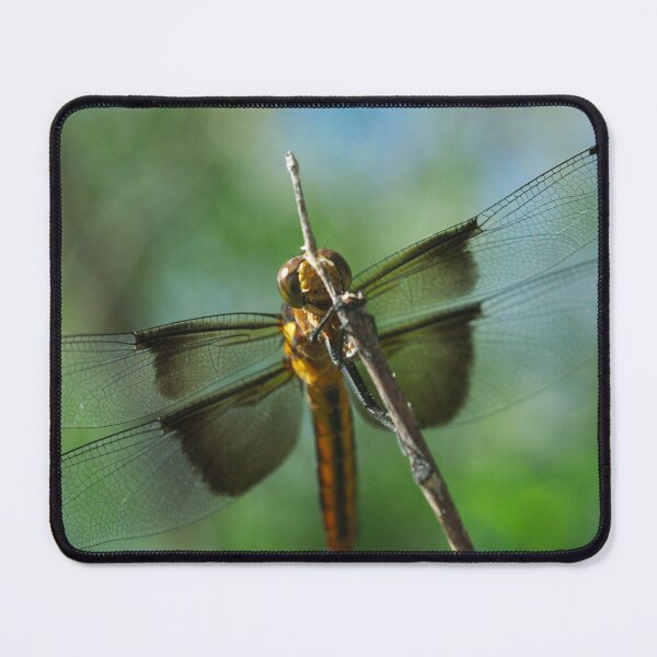 Item preview, 511 Widow Skimmer designed and sold by ptosis.