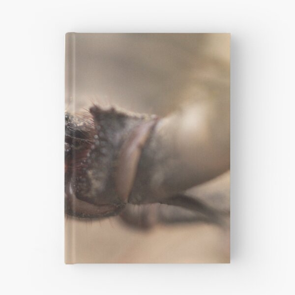 Item preview, 507 Vinegaroon Macro designed and sold by ptosis.