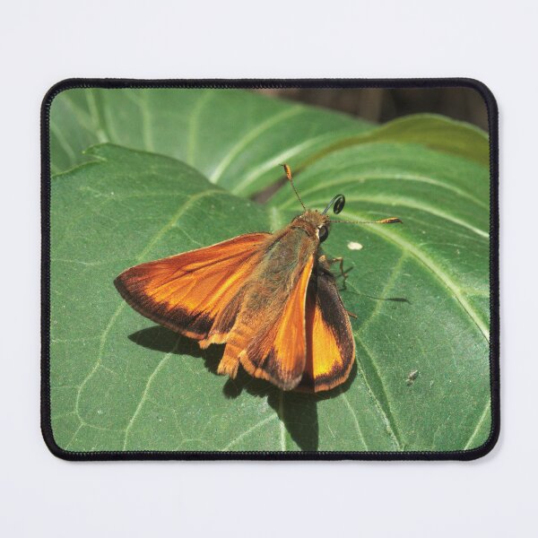 Item preview, 505 Skimmer Moth designed and sold by ptosis.