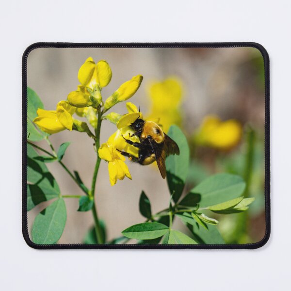 Item preview, Bumblebee busy pollinating designed and sold by Shizenkai.