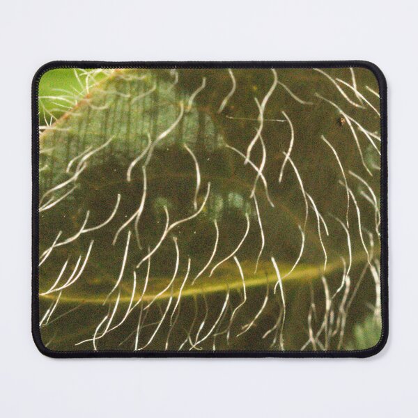 Item preview, 491 Hairy Leaf Macro designed and sold by ptosis.