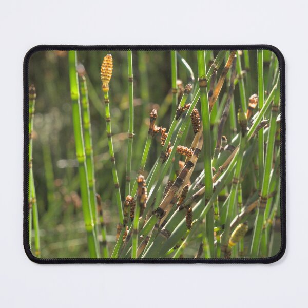Item preview, 490 Texture Green Shoots In Sunshine designed and sold by ptosis.