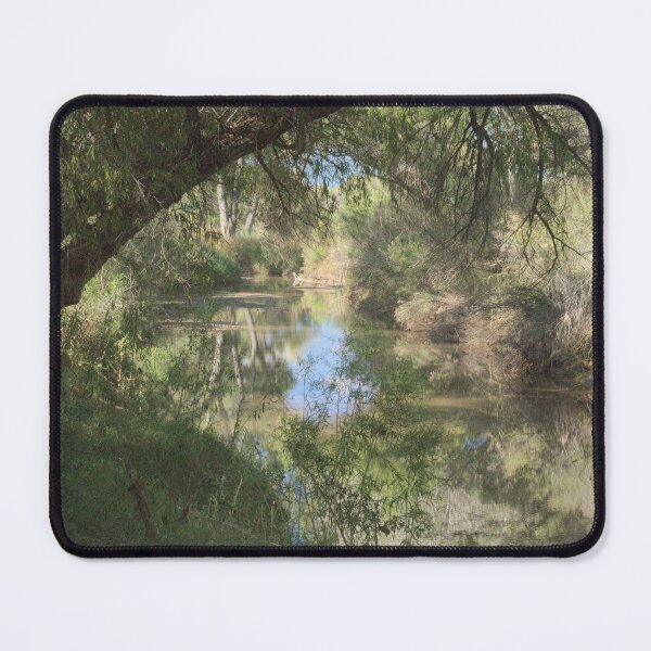 Item preview, 483 Idyllic Riparian Scenery San Pedro Arizona designed and sold by ptosis.