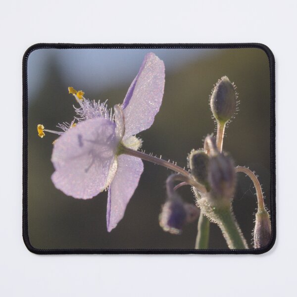 Item preview, 480  Windmills Genus Allionia designed and sold by ptosis.