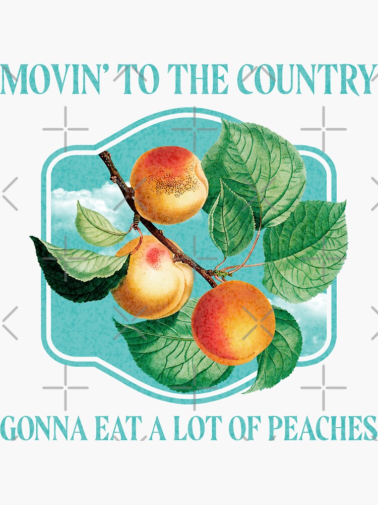 Peaches Lyrics Stickers for Sale