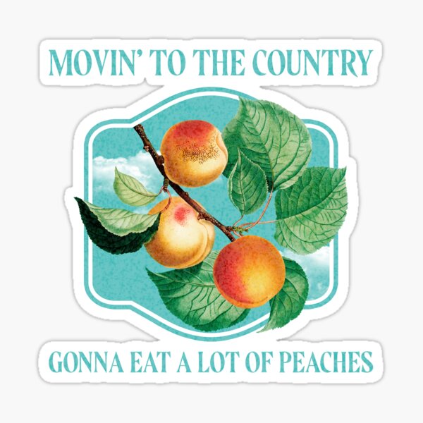 Peaches Peaches Lyrics Sticker for Sale by sparkerzed