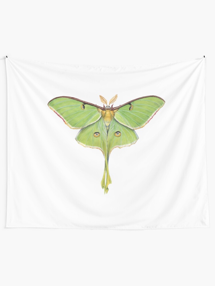 Alternate view of Luna Moth (Actias luna) II Tapestry