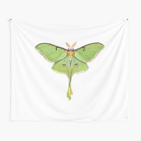 Luna Moth (Actias luna) II Tapestry