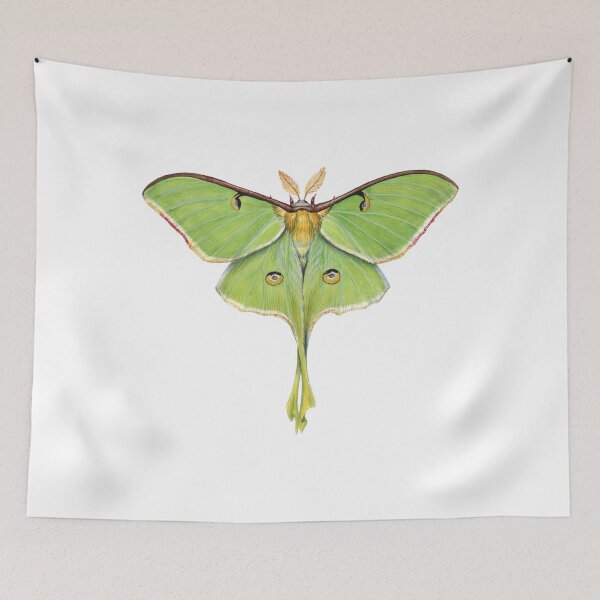 Item preview, Luna Moth (Actias luna) II designed and sold by JadaFitch.