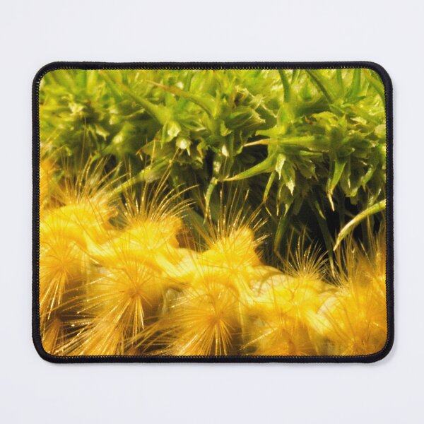 Item preview, 467 texture Caterpillar Plant Spiky Macro designed and sold by ptosis.