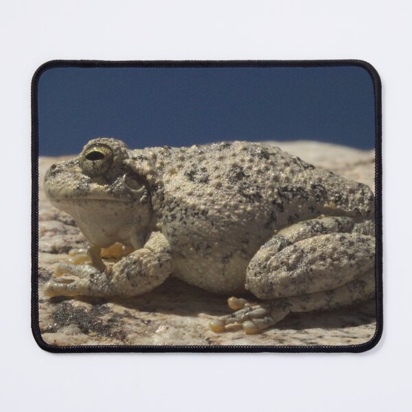 Item preview, 461 Canyon Tree Frog designed and sold by ptosis.