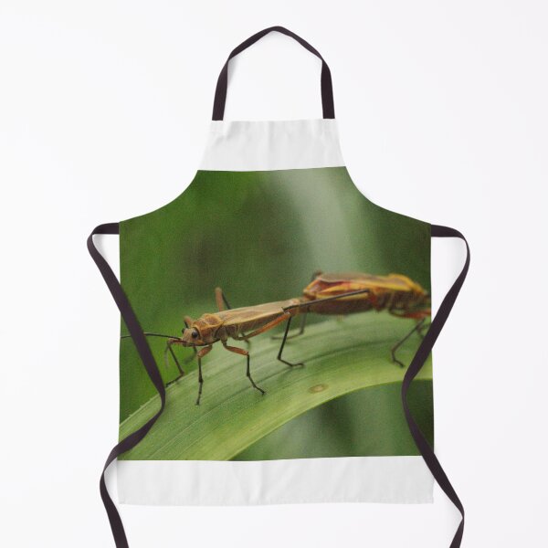 Item preview, 459 Stenomacra Mating designed and sold by ptosis.