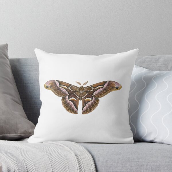 Item preview, Ailanthus Silkmoth (Samia cynthia) designed and sold by JadaFitch.