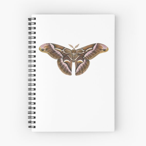 Item preview, Ailanthus Silkmoth (Samia cynthia) designed and sold by JadaFitch.