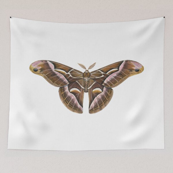 Item preview, Ailanthus Silkmoth (Samia cynthia) designed and sold by JadaFitch.