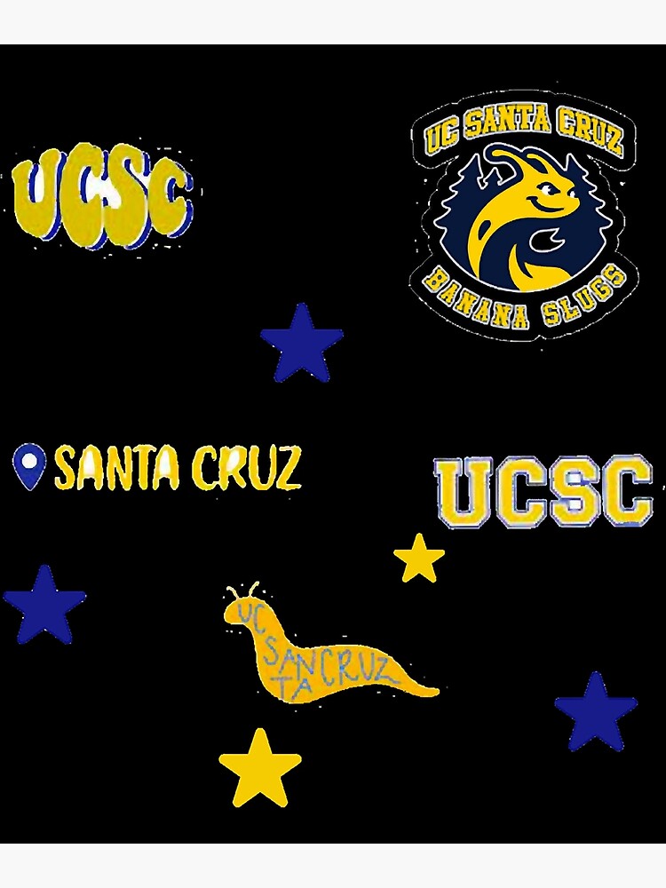 BESTSELLING UC Santa Cruz UCSC Student StickerMagnet Value Pack