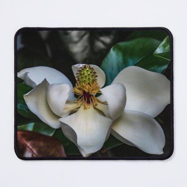 Item preview, Magnolia Magic designed and sold by Bob Hardy.