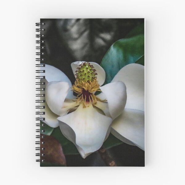 Item preview, Magnolia Magic designed and sold by Bob Hardy.