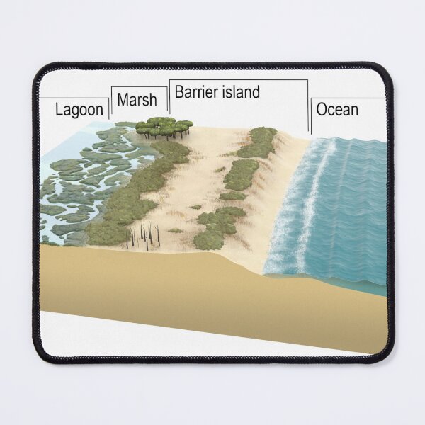 Item preview, Barrier Island Oceanic Cross-section  designed and sold by BravuraMedia.