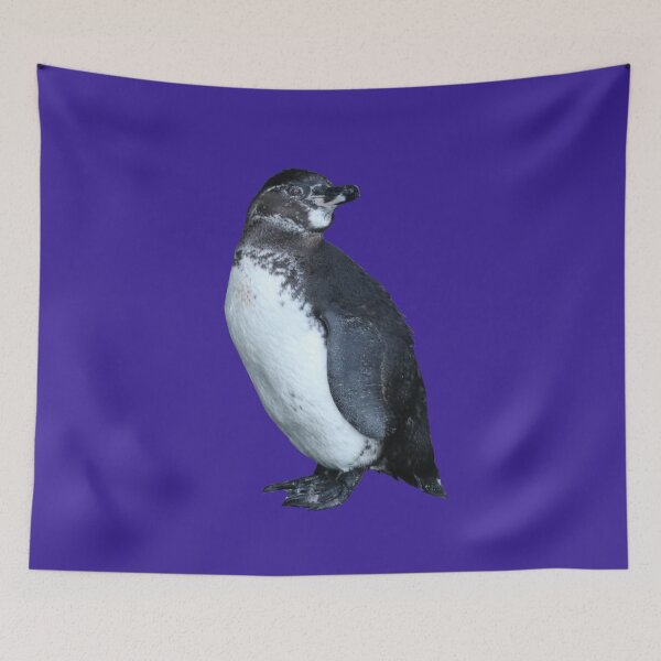 Artikelvorschau, Dark Purple #3A2096 But am I looking at you? Cute Galapagos Penguin  entworfen und verkauft von SBPenguins.