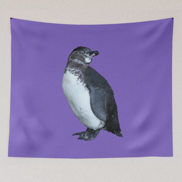 Artikelvorschau, Light Purple #795FC1 But am I looking at you? Cute Galapagos Penguin  entworfen und verkauft von SBPenguins.