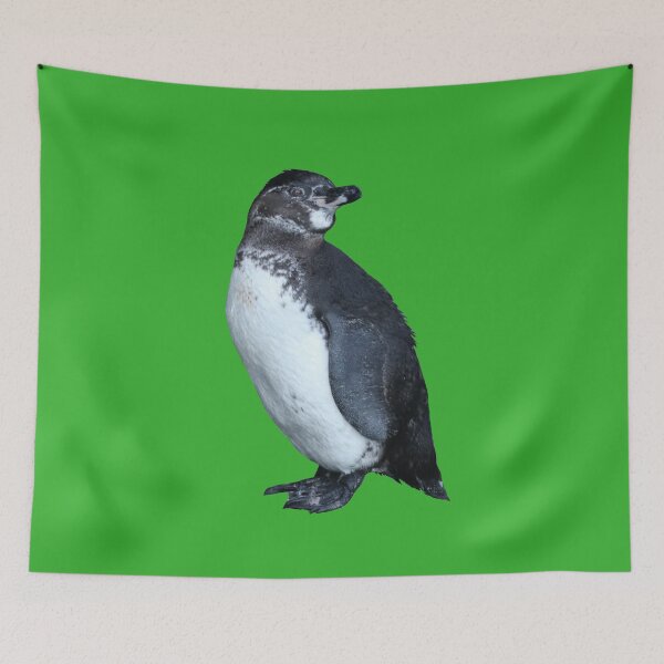 Artikelvorschau, Bright Green #35B02C But am I looking at you? Cute Galapagos Penguin  entworfen und verkauft von SBPenguins.