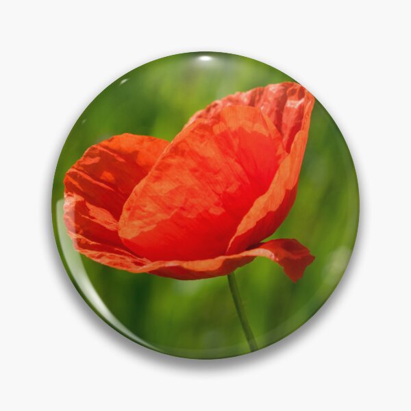 Item preview, Summer is Coming - Silky Petaled Poppy in the Grass designed and sold by Georgia Mizuleva.