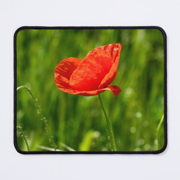 Item preview, Summer is Coming - Silky Petaled Poppy in the Grass designed and sold by Georgia Mizuleva.