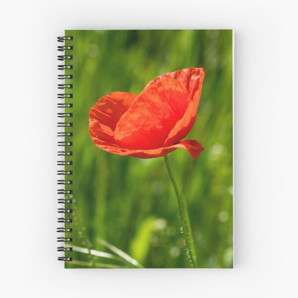 Item preview, Summer is Coming - Silky Petaled Poppy in the Grass designed and sold by Georgia Mizuleva.