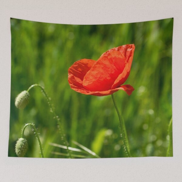 Item preview, Summer is Coming - Silky Petaled Poppy in the Grass designed and sold by Georgia Mizuleva.