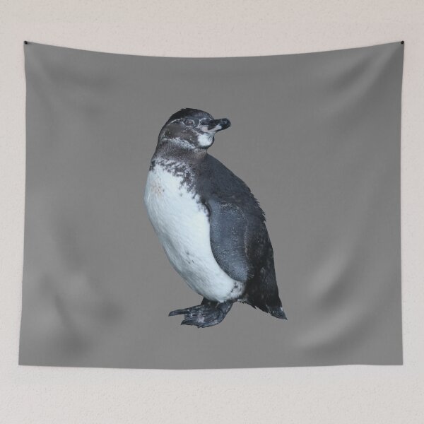 Artikelvorschau, Grey #808080 But am I looking at you? Cute Galapagos Penguin  entworfen und verkauft von SBPenguins.