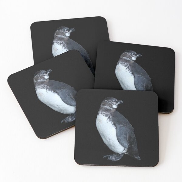 Artikelvorschau, Black background But am I looking at you? Cute Galapagos Penguin  entworfen und verkauft von SBPenguins.