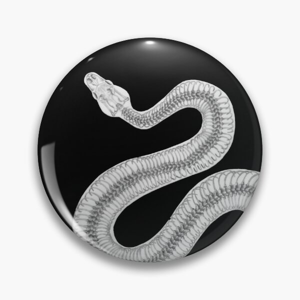 Item preview, Ball Python Skeleton designed and sold by SarehPuetz.