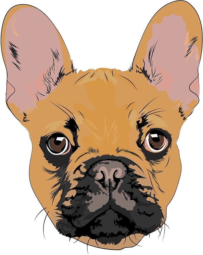 french bulldog squishy