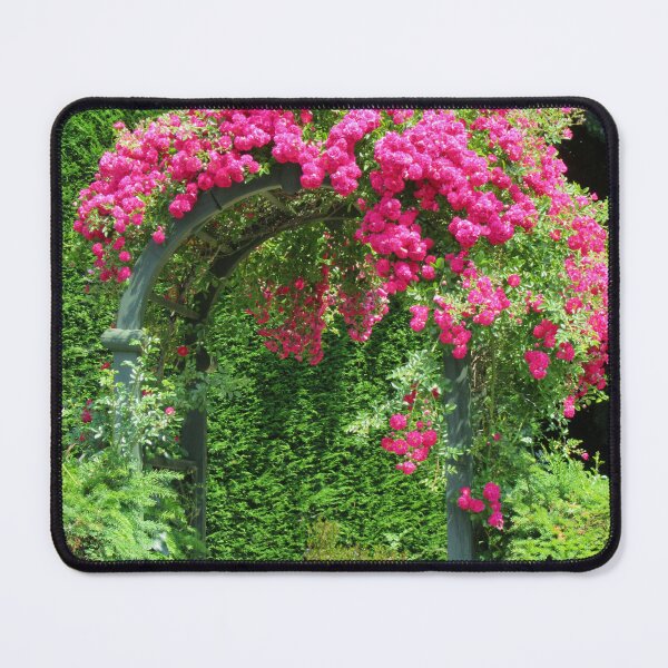 Item preview, Archway Of Roses designed and sold by lezvee.