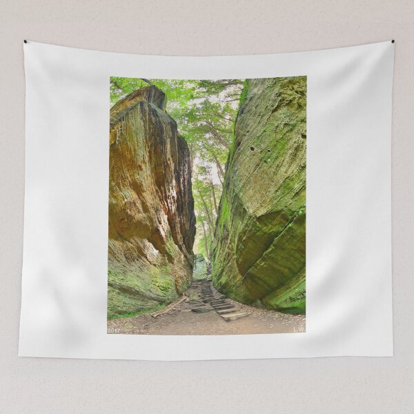 Item preview, Cantwell Cliffs Trail Hocking Hills Ohio designed and sold by LisaWootenPhoto.