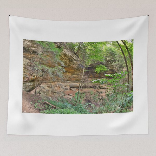 Item preview, Cantwell Cliffs Hocking Hills Ohio 2 designed and sold by LisaWootenPhoto.