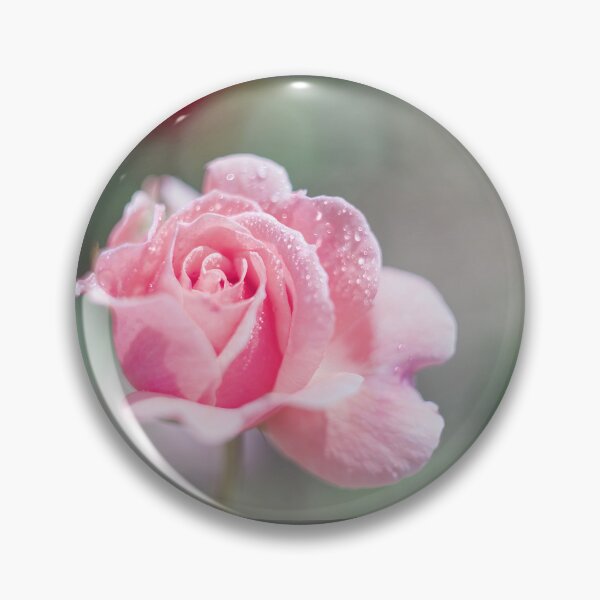 Item preview, Pink Unfurling Rose designed and sold by Alisonchambers2.