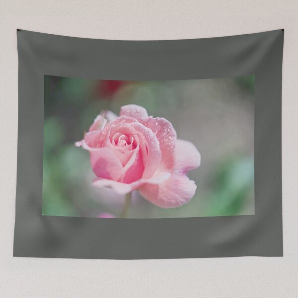 Item preview, Pink Unfurling Rose designed and sold by Alisonchambers2.