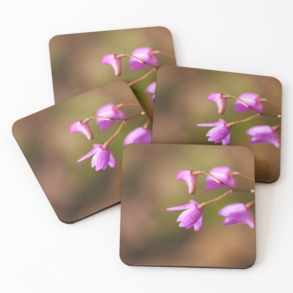 Item preview, Orchid Small Australian Dendrobium designed and sold by Joy Watson - Natural Light Photography .