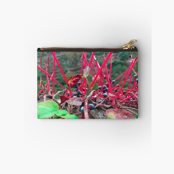Item preview, Plante designed and sold by LauraHamato.