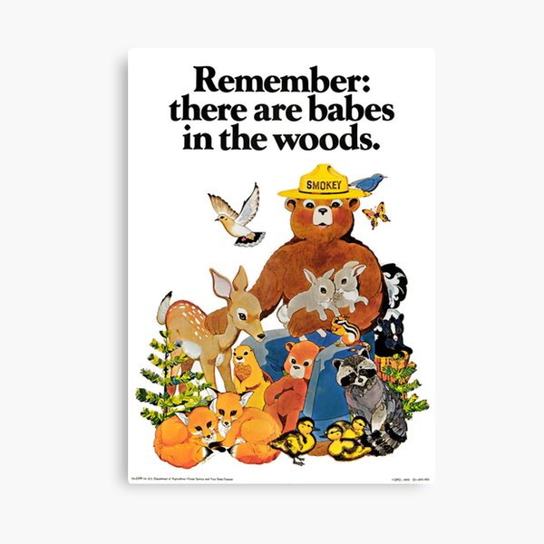Remember there are babes in the woods. Canvas Print